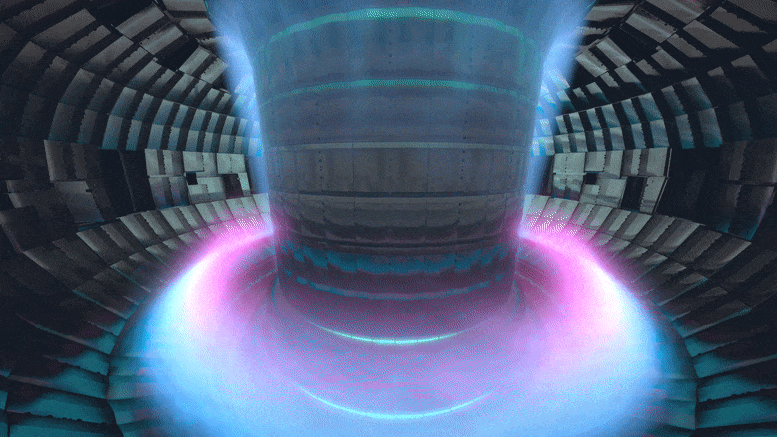 Tokamak Fusion Reactor
